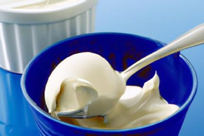 Crafting Creamy Magic: Your Guide to Homemade Vanilla Ice Cream