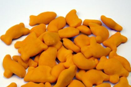 Crunchy & Fun: How to Make Homemade Goldfish Crackers