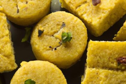 Dhokla Delights: Unraveling Gujarat’s Steamed Snack Secret