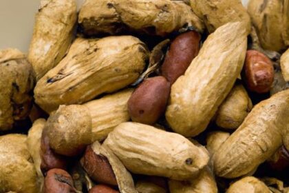 Southern Spice Unveiled: Cajun Boiled Peanuts Recipe Guide